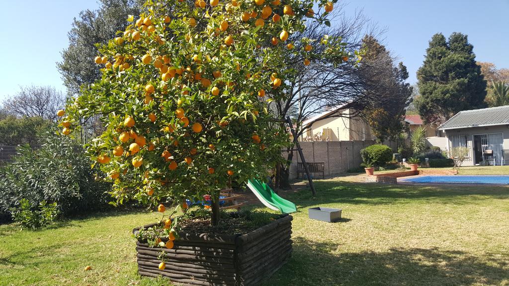 8 Ibis Lane Guest House Johannesburg Exterior photo